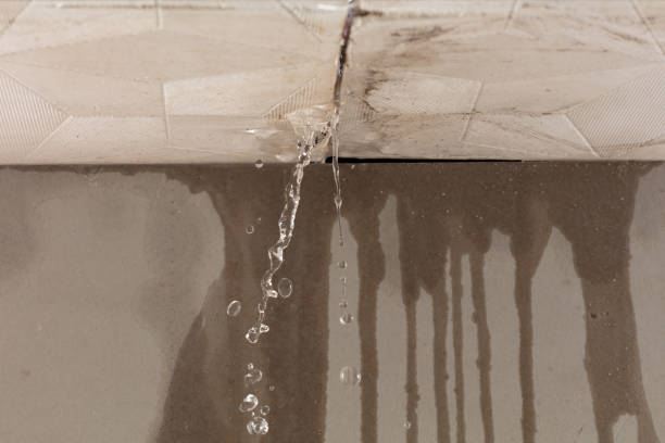 Professional Flood Damage Cleanup technician working in Briceville, TN
